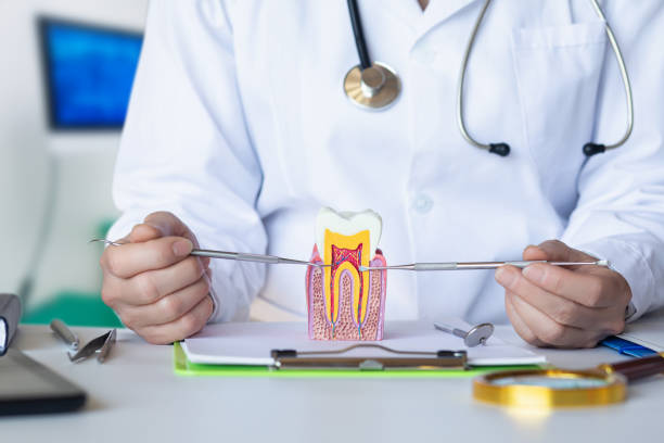 Best Emergency Treatment for Toothache in Duncan Falls, OH